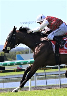 Cassidy drives Top Me Up Again home for the Smith stable at the Sunshine Coast last Sunday ... 