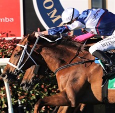 Dittman drives Alward home to a last stride victory in the 2020 Toowoomba Cup ...