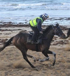 Russian Camelot (pictured above) keeps favouritism for the WS Cox Plate this weekend at $3.50, ahead of $4.50 Arcadia Queen, $6 Armory, $9 Sir Dragonet, $11 Aspetar, Probabeel, $16 Kolding, $17 Humidor

Photos: Darren Winningham, The Hong Kong Jockey Club and O'Brien Racing stables