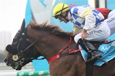 ... after getting the Brian Smith trained runner up after a titanic battle all the way up the home straight

Photos: Graham Potter