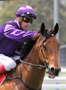 Collay’s Spirit and Michael Cahill

Photos: Graham Potter