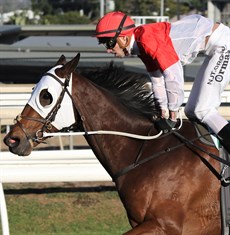 Niccanova and Jimmy Orman