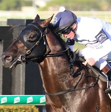 Jonker, Jim Byrne and Tony Gollan rewrite the record books

Photo: Darren Winningham