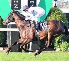 Jonker stops the clock in a new track record time at Doomben on Saturday

Photo: Darren Winningham