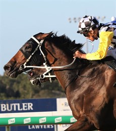 Ballistic Boy ... winning!!!

Photos: Graham Potter