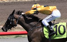 Jaden Lloyd brings home a double of his own winning on One More Pinot (above) and Black Whitto (below)