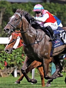 Holly Doyle gets her winner at Happy Valley

Photos: Courtesy Hong Kong Jockey Club