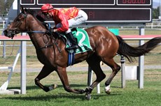 Iolite smashing the track record at Kilcoy

Photos: Graham Potter