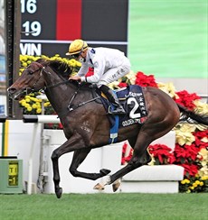 Photos: Courtesy Hong Kong Jockey Club