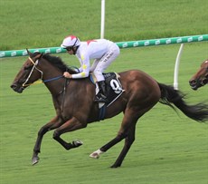 Highlights scores a comfortable win at Eagle Farm

Photos; Graham Potter