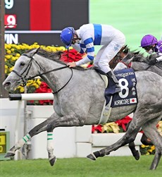 Zac Purton broke the record for the most wins at the Longines International Races when he gained his ninth success  on Normcore at Sha Tin

Photos: Courtesy Hong Kong Jockey Club