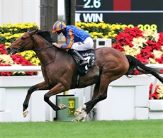 Photos: Courtesy Hong Kong Jockey Club