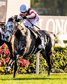 Win Bright on his way to victory in the 2019 Longines  Hong Kong Cup

Photo: Courtesy Hong Kong Jockey Club.