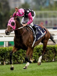 Beauty Generation ... a true champion

Photo: Courtesy Hing Kong Jockey Club
