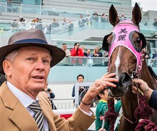 Trainer John Moore with Beauty Generation.