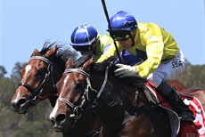 Set Me Up (Ronnie Stewart) stretches out to land a fine debut victory for trainers John Symons and Sheila Laxon