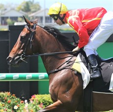 Snow Valley (see race 1)