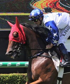 Sweet 'n' Sexy (see race 5)