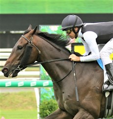 Palladas (see race 7)

Photos: Graham Potter and Darren Winningham