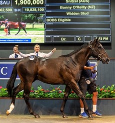 Photo: Courtesy Magic Millions