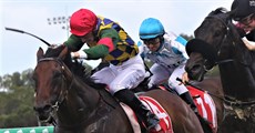 Winner ...

AND THAT WAS JUST KYLE-WILSON'S WINNERS FROM LAST SATURDAY AND SUNDAY

Photos: Graham Potter