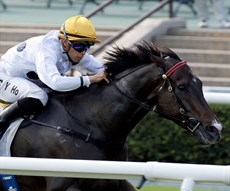 Golden Sixty (see race 7)

Photos: Hong Kong Jockey Club, Darren Winningham and Graham Potter