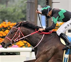 Photos: Courtesy Hing Kong Jockey Club