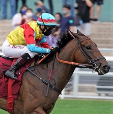 Photos: Courtesy Hong Kong Jockey Club