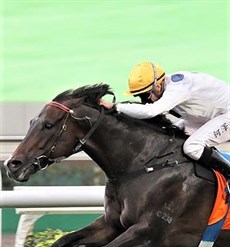 Photo: Courtesy Hong Kong Jockey Club