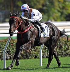 Courier Wonder is three-time winner from three starts.