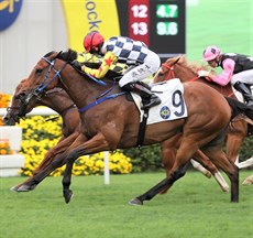 Amazing Star wins the G2 Sprint Cup under Vagner Borges.