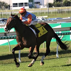 Taking no prisoners ... Prince Of Boom and Ben Thompson race away to an impressive Group 2 victory