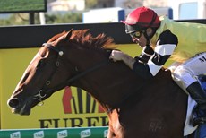 Criminal Defence wins the Rough Habit Plate returning a win dividend of $100.40 on the Queensland tote