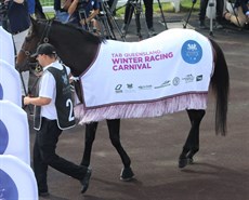 Rothfire put in a 'guest' appearance at the launch of the Winter Carnival. Soon he will get back to business

Photo: Graham Potter
