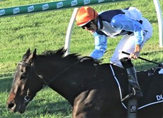 Duais wins the Queensland Oaks ... 