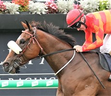 Apache Chase and Jim Byrne salute in the Daybreak Lover

Photos: Darren Winningham and Graham Potter