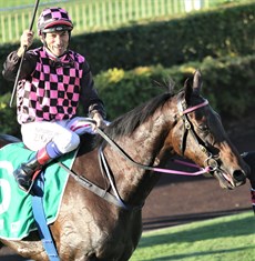 Robbie Fradd gives a victory salute as he returns to scale aboard Emerald Kingdom after their win in the BRC Sprint.