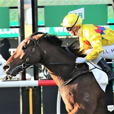 Kah takes Vega One through the line to win the Kingsford-Smith Cup in a ride that was rated the 'ride of the Queensland Carnival'

Photos: Darren Winningham