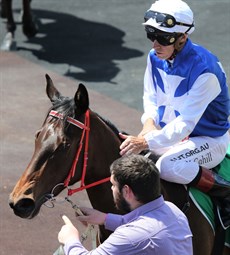 Princess Bojack, pictured after her impressive debut win in town back in October. She was one of three winners for the Michael Nolan stable over the last two days