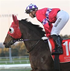 Tiffani Brooker aboard the Lindsay Gough trained Gala Rain. They took the honours in the opening race at Ipswich

Photos: Graham Potter