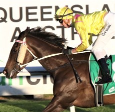 Dis Dah Wun and connections pictured after a previous win at Ipswich
