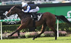 Weona Smartone (above and pictured with connections below) topped the leadership board for the Vandyke stable recording five wins in an unbeaten season
