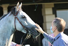 Rotator receives an appreciative pat from David Vandyle after winning at Eagle Farm

Photos: Graham Potter
