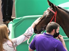 Princess Bojack wins at Eagle Farm