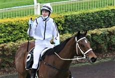 Jaden Lloyd brings Brave warrior back to scale

Photos: Graham Potter