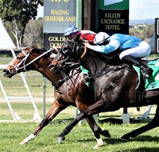 Black Sea only just fails to win on debut for the Paul Jenkins stable

Photos: Graham Potter and Darren Winningham
