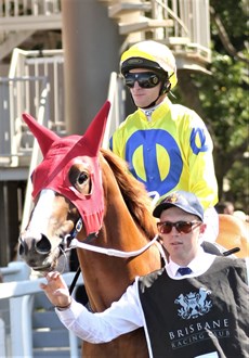 The Kewess ... pictured on his way out to contest the Listed Phelan Ready Stakes in December 2020 with Dale Smith on board. The colt now has two wins behind his name from only four starts