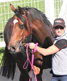 All is well that ends well. Rapaport pictured in the winner's enclosure