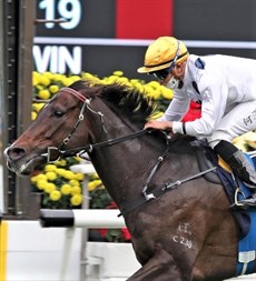 Golden Sixty

Photo: Courtesy Hong Kong Jockey Club
