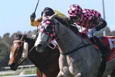 Red Wave goes down narrowly to Sergeant Silva